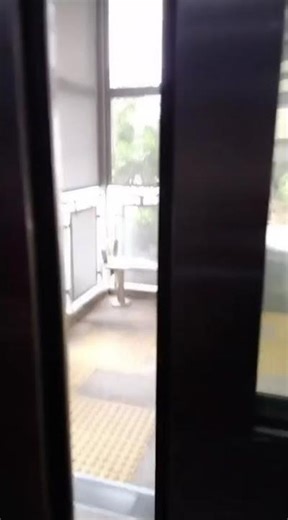 screaming at overhead bridge lift