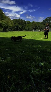 Training police K9s to locate articles (like weapons, tools, or clothing) left behind at crime scenes is a vital skill in law enforcement work. Article searches help:👣 Track fleeing suspects🔫 Recover discarded evidence🧤 Find key items that connect scenes or peopleThis skill turns your dog into an evidence-locating machine—helping solve crimes and build strong cases in court.Small detail, big impact. 🐾💼 #K9Training #PoliceDogWork #ArticleSearch #WorkingDogSkills | Tactical Police K9 Training