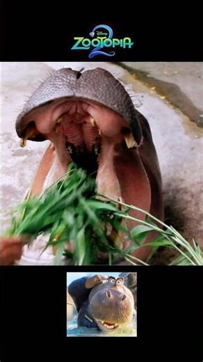 Zootopia 2 Animals vs Real Life 🐾🦊🐰 #Zootopia2 #Animals #shorts #shakira