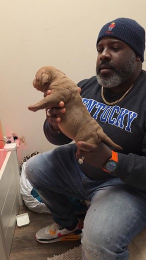 These Girls. I Keep Going Back & Forth & Back & Forth. Super Happy With These Productions 2026 Will Be 🔥 BIG HEADS & SHOULDER SPREADS ‼️ PHENOMENAL BULLIES ‼️ | James Cosby