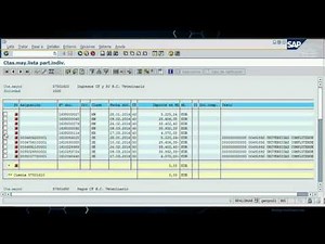 Conciliación individual de pagos