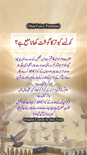 کونسے کبوتر کا گوشت کھانا منع ہے ،، حضرت امام موسی کاظمؑ