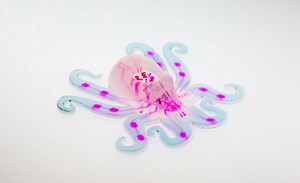 harvard 3D prints the first autonomous octopus robot