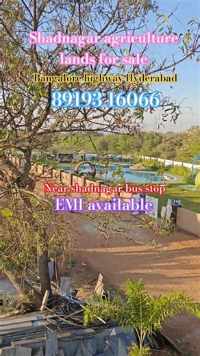 #Shadnagar agriculture lands for sale #hyderabad agriculture lands