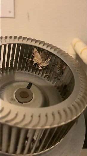 EASY -fix yourself- Rinnai RL75i CODE 10 tankless water HEATER