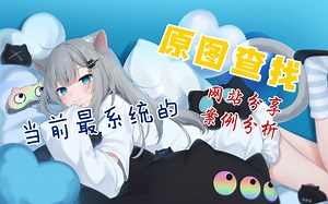 这大概是B站当前最全的原图查找教程