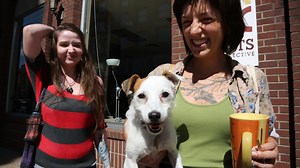 Dubuque Could Be the Soul of a Joe Biden Campaign in Iowa