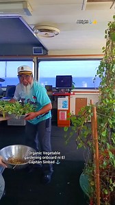 Sino po ang may gusto ❣️🌿🌾Kangkong.. Ampalaya.. Alugbati 🌿 #fblifestyle | El Capitán Sinbad Bagos