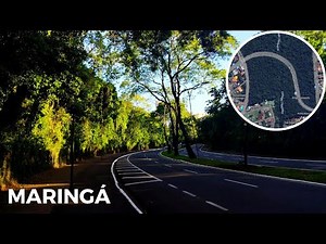 A AVENIDA MAIS BONITA DE MARINGÁ PURA NATUREZA
