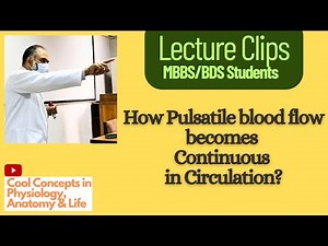 How Pulsatile blood flow becomes Continuous in Circulation? #circulation #physiology