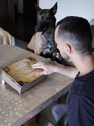 Ellie's Playful Encounter with the Ouija Board