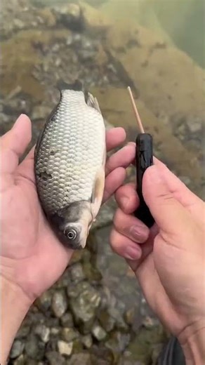 Smart Bait Pro – Rechargeable Electronic Bite Robotic Fishing Lure Auto-Swimming & Dead Fish Revival