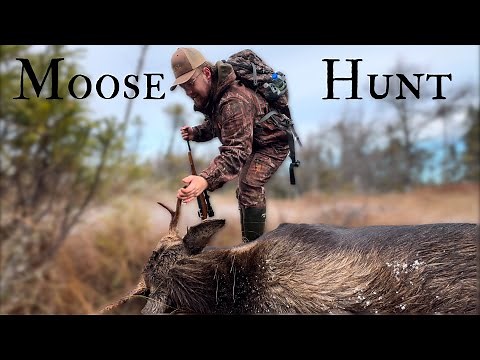 MOOSE HUNTING for 2 DAYS in Newfoundland’s Backcountry ! ( Moose 2024 PT 2/2 )