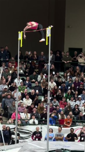 Exciting Pole Vault Moments at the Summit Event