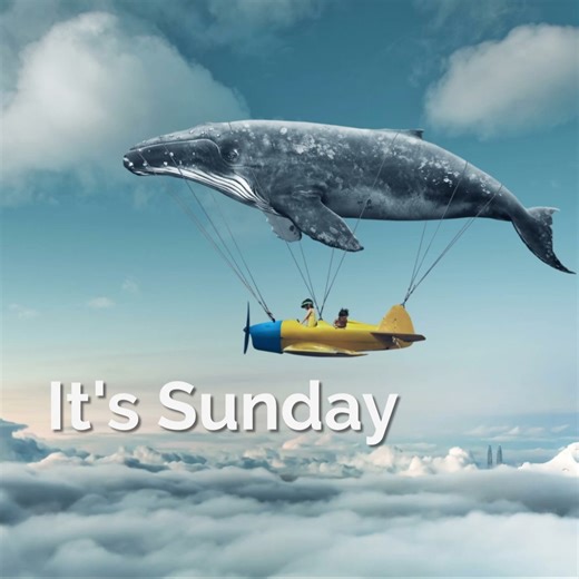 Voss Botanicals | Natural, Artisan Bath & Body Products on Instagram: "Sunday... a time to relax, rejuvinate and recharge for the upcoming week. Spend a little time on you with our luxury bath bombs, shower steamers or a salt soak for your body, mind and soul. Link to shop in bio 🔗 Save 20% if you subscribe to our emails that give you more tips and specials from us to you on our website."