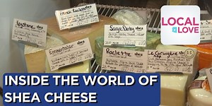 Inside the world of cheese at Shea Cheese