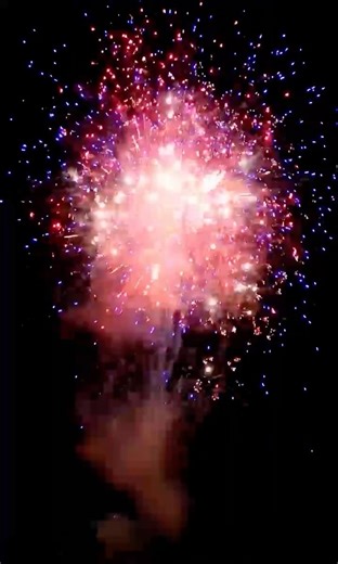 Craziest Firework Ever?? Master July 4th 100 Shot Firework (Epic Banger!) #masterfireworks