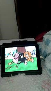 Qubo channel toddworld 2019