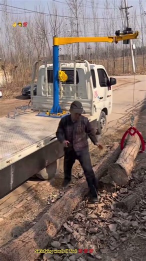 Additional detail of tool : Loading tree to truck