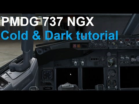 FSX | PMDG 737 NGX | QUICK cold & dark tutorial