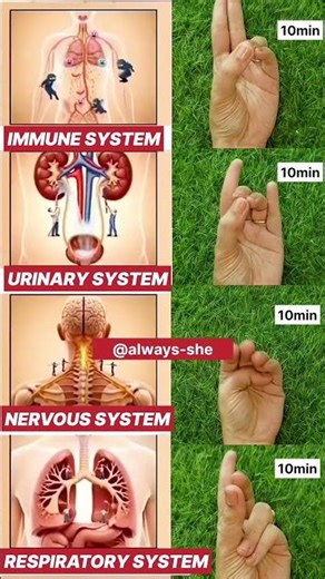 Powerful Mudra #immunesystem #system #nervous #shorts #mudra #yoga #trending #ytshorts #foryou #yt
