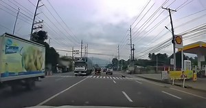 140K views · 4.4K reactions | DISCIPLINED ASPIN  An Aspin dog's...