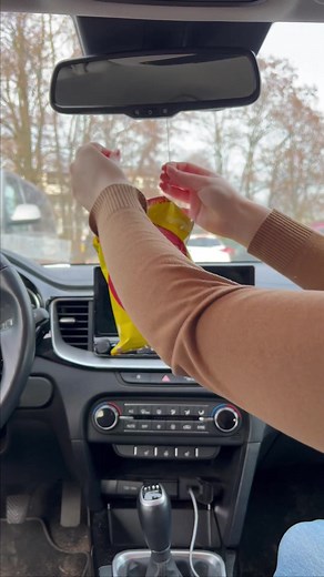 Fonzies Germany on TikTok