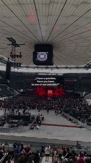 Experience the Joy of Stray Kids Concerts