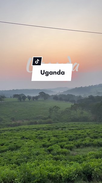 Check my travel itinery for Uganda in my blog #traveltiktok #travelblogger #travelguide #uganda #visituganda