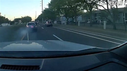 VIDEO: Grappler device stops driver who tried to escape deputies during traffic stop, HCSO says