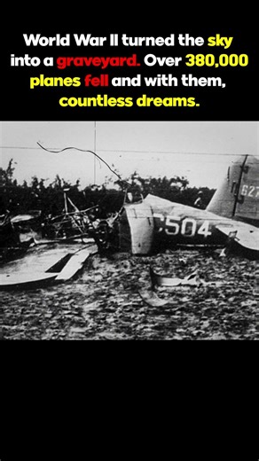380,000 Downed Planes: The Forgotten Graveyard of the Sky #Aviation, #History #Airplanes