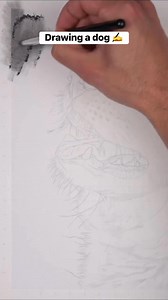 42K views · 2.9K reactions | ✍️Drawing of cute dog  … Hyper realistic drawing of a per, charcoal drawing on paper. @_zok_art #pencildrawing #realism #drawing #reels #art #drawingoftheday #tutorial #doglover #pet #puppy #love | Artist Kelle | Facebook