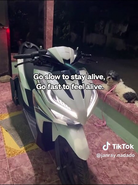 The Thrill of Speed: Balancing Safety on the Road