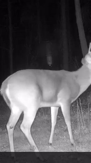 Instagram video by Randy Cook • Feb 13, 2026 at 3:57 PM