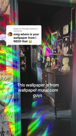 Explore Unique Wallpaper Options from Wallpaper Mural