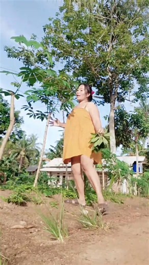 13K views · 193 reactions | The goat is free. | Liya Liya | Facebook