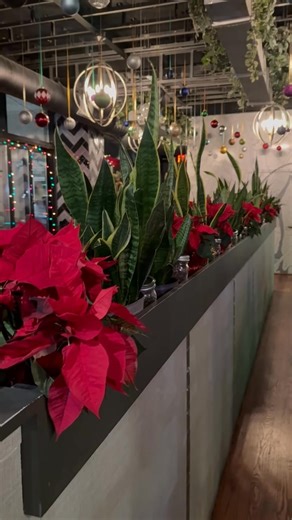 Haven Port Chester on Reels