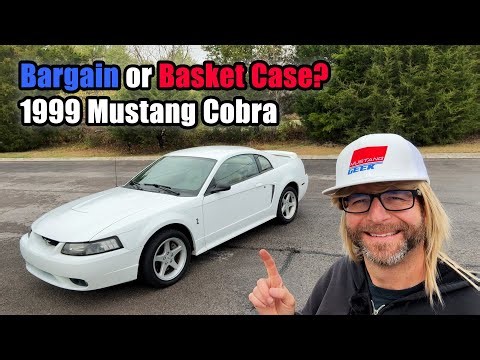 Buying a 1999 Mustang Cobra: Better and Cheaper than a Fox Body?