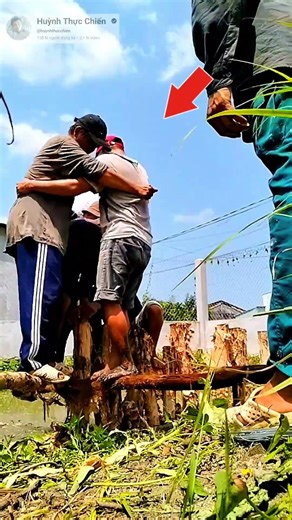 đóng cọc chàm không cần máy // Manual Pile Driving Skill #videoviral #fypシ #ff