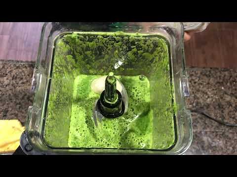 Healing Green Smoothie Recipe (Dr. Brooke Goldner)