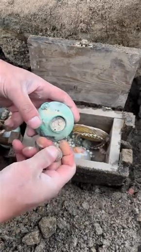 A double-headed snake bracelet worth hundreds of thousands of dollars was found. | Hazine Avcısı