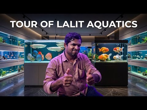 A visit to Lalit Aquatics to see Monster & Exotic fishes