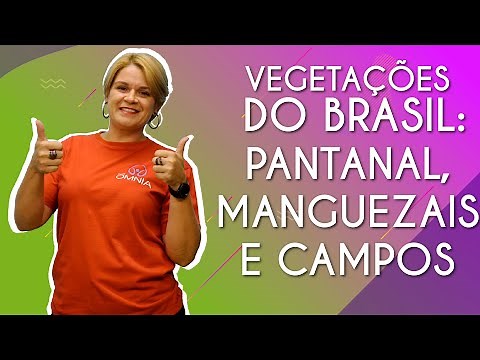 Vegetation of Brazil: Pantanal, Mangroves and Fields - Brasil Escola