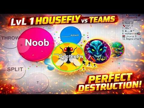 Blob.io LvL 1 HouseFly vs Teams – Perfect Destruction!