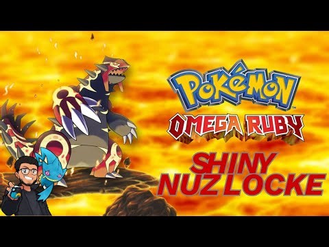 Omega Ruby Randomized Shiny Nuzlocke (Test Stream)