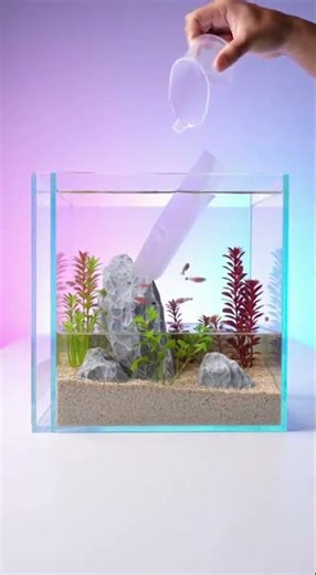 How to Make a Cool Fish Tank at Home