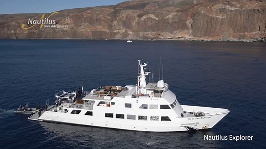 Our flagship featuring an all new super-large dive deck and water level platform combined with picture windows around the main salon and separate dining room. We love the Explorer and she looks fantastic with her recent stretch to 132 feet in length, new air conditioning and interior updates. | Nautilus Liveaboards