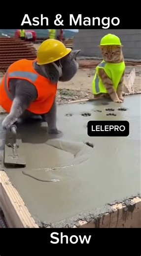 Ash and Mango Concrete