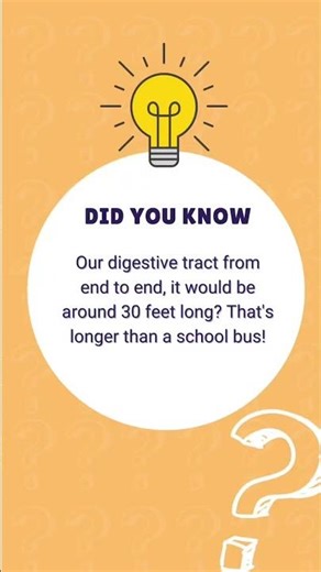 Wait✋🏻Did you know this?|Facts about Digestive System #slideXplain#didyouknow#digestivesystem#facts