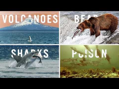 6,000 Miles Of Death: Inside The World's Most Dangerous Migration